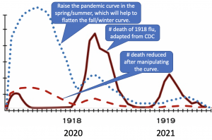 Raise the pandemic curve in the spring/summer, which will help to flatten the fall/winter curve.
