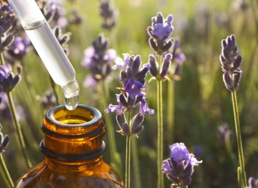Lavender natural oils for allergies