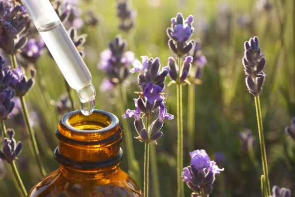 Lavender natural oils for allergies